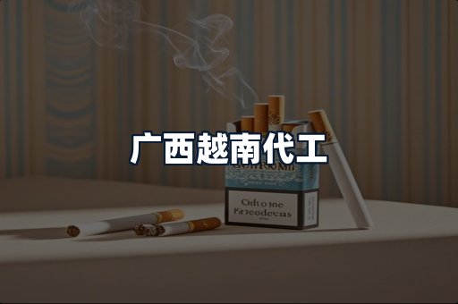 广西越南代工